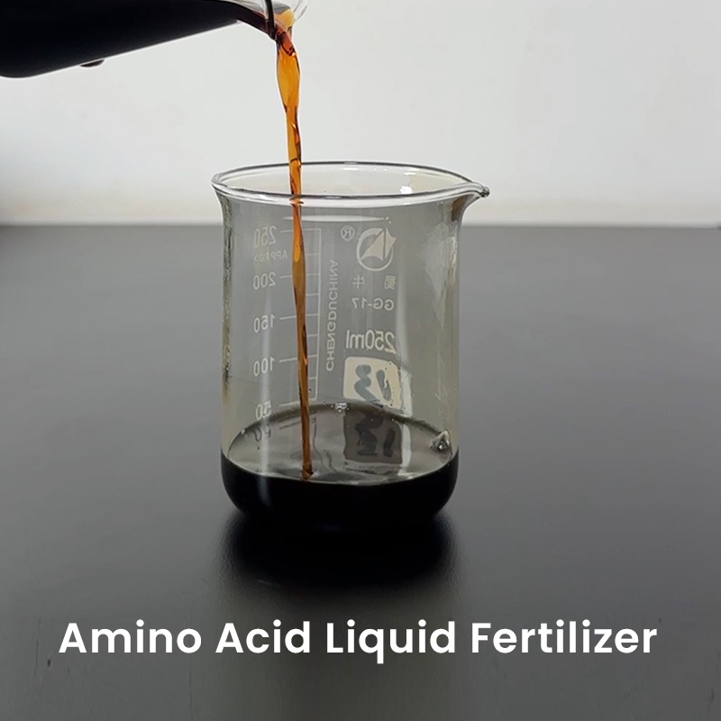 Amino Acid Liquid Fertilizer