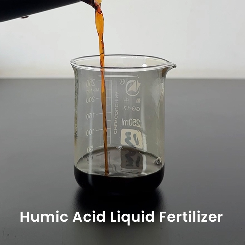Humic Acid Liquid Fertilizer
