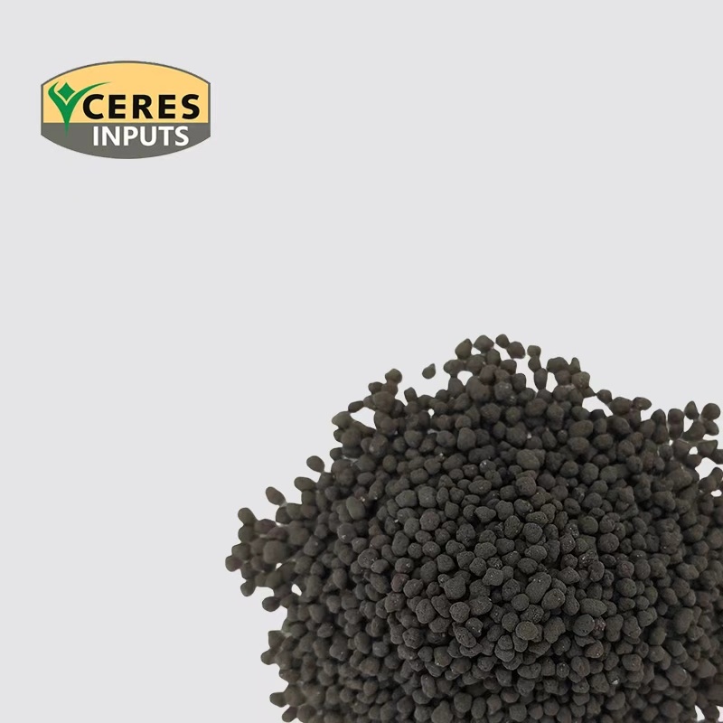 Humic Acid Granular