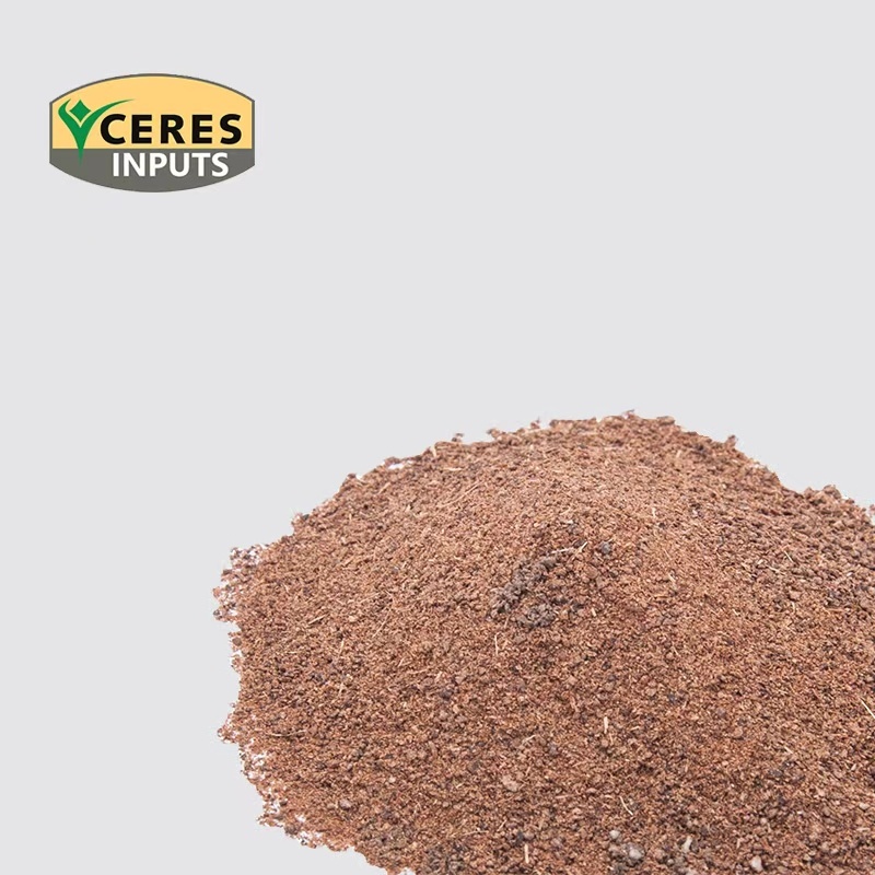 Tea Seed Meal