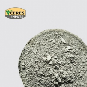 Natural Kieserite (MgSO4·H2O)