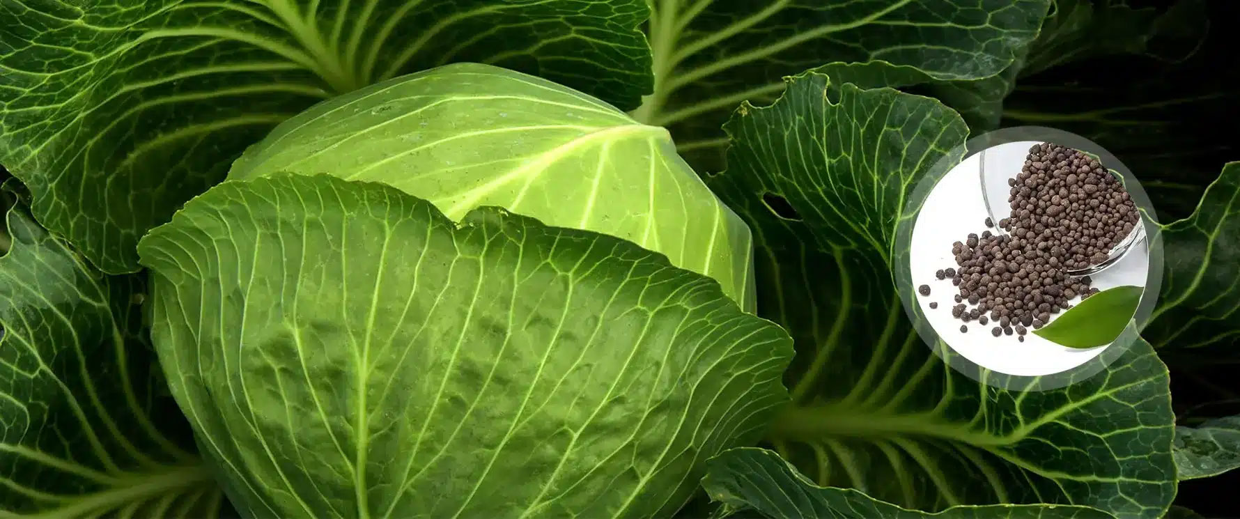首页横幅2